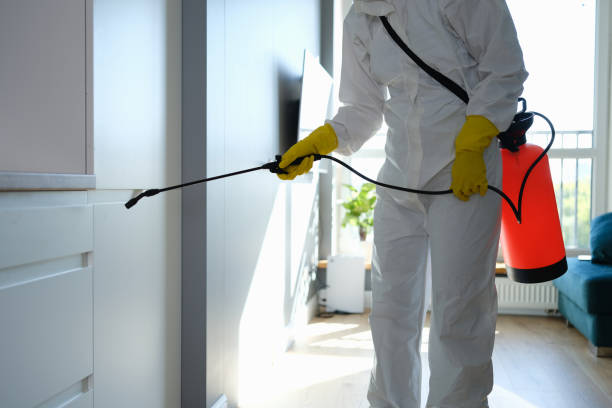 Best Mold Cleaning Services  in Orcdlands Estates, HI